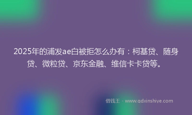 2025年的浦发ae白被拒怎么办有：柯基贷、随身贷、微粒贷、京东金融、维信卡卡贷等。