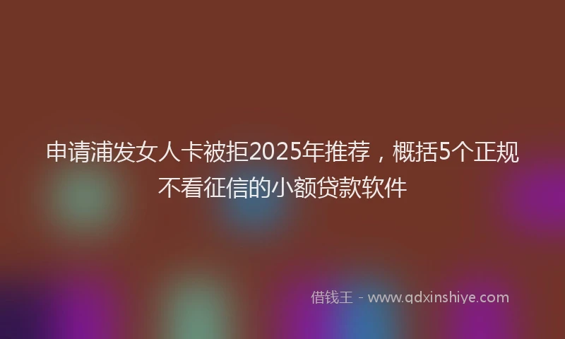 申请浦发女人卡被拒2025年推荐，概括5个正规不看征信的小额贷款软件