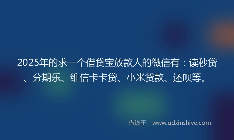 2025年的求一个借贷宝放款人的微信有：读秒贷、分期乐、维信卡卡贷、小米贷款、还呗等。