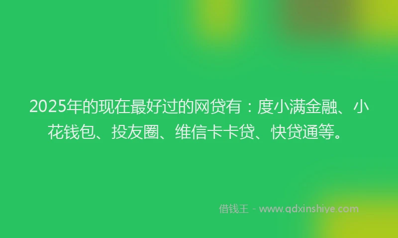 2025年的现在最好过的网贷有：度小满金融、小花钱包、投友圈、维信卡卡贷、快贷通等。