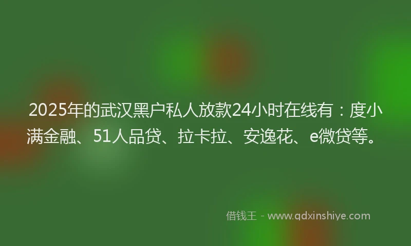 2025年的武汉黑户私人放款24小时在线有：度小满金融、51人品贷、拉卡拉、安逸花、e微贷等。
