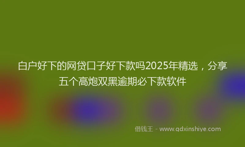 白户好下的网贷口子好下款吗2025年精选，分享五个高炮双黑逾期必下款软件