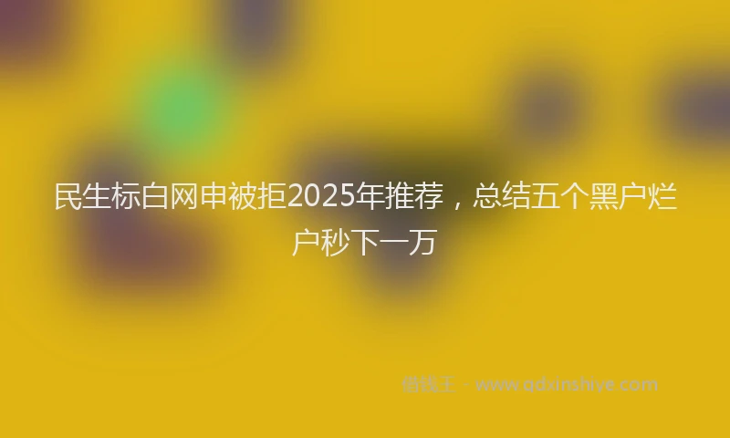 民生标白网申被拒2025年推荐，总结五个黑户烂户秒下一万