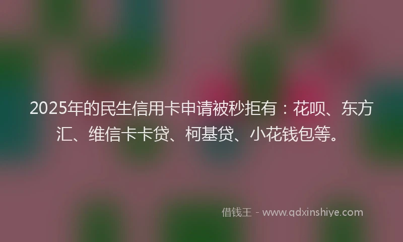 2025年的民生信用卡申请被秒拒有：花呗、东方汇、维信卡卡贷、柯基贷、小花钱包等。