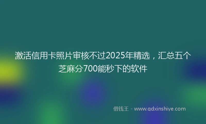 激活信用卡照片审核不过2025年精选，汇总五个芝麻分700能秒下的软件