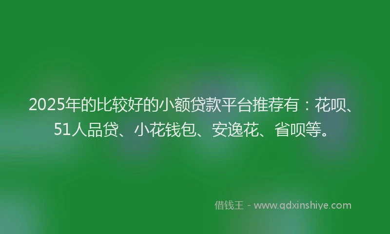 2025年的比较好的小额贷款平台推荐有：花呗、51人品贷、小花钱包、安逸花、省呗等。