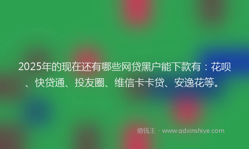 2025年的现在还有哪些网贷黑户能下款有：花呗、快贷通、投友圈、维信卡卡贷、安逸花等。