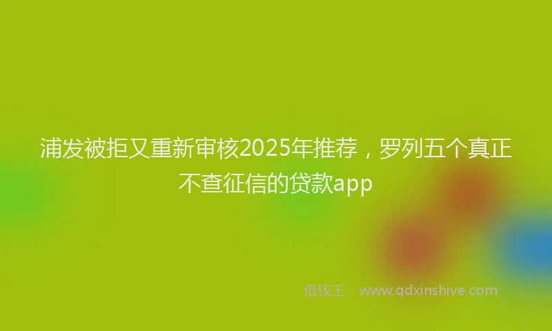 浦发被拒又重新审核2025年推荐，罗列五个真正不查征信的贷款app