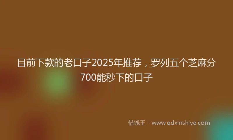 目前下款的老口子2025年推荐，罗列五个芝麻分700能秒下的口子