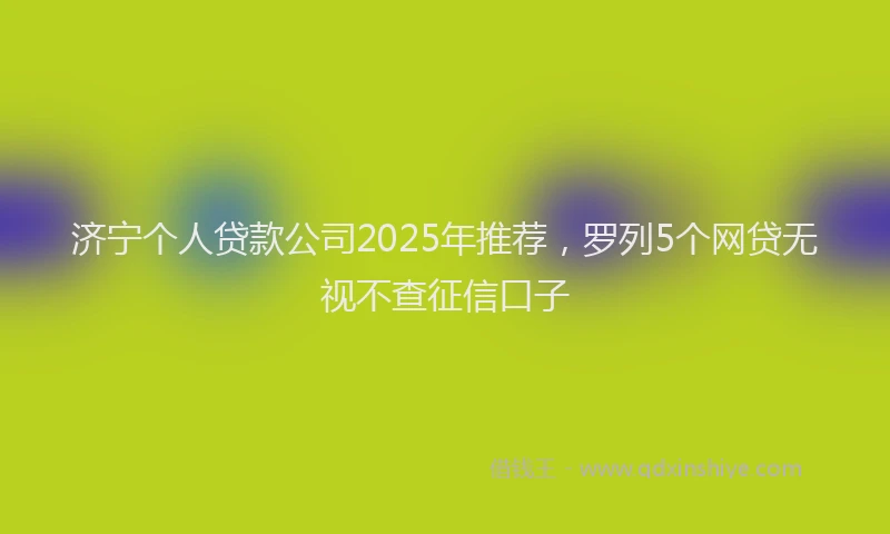 济宁个人贷款公司2025年推荐，罗列5个网贷无视不查征信口子