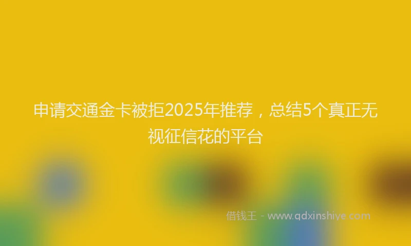 申请交通金卡被拒2025年推荐，总结5个真正无视征信花的平台