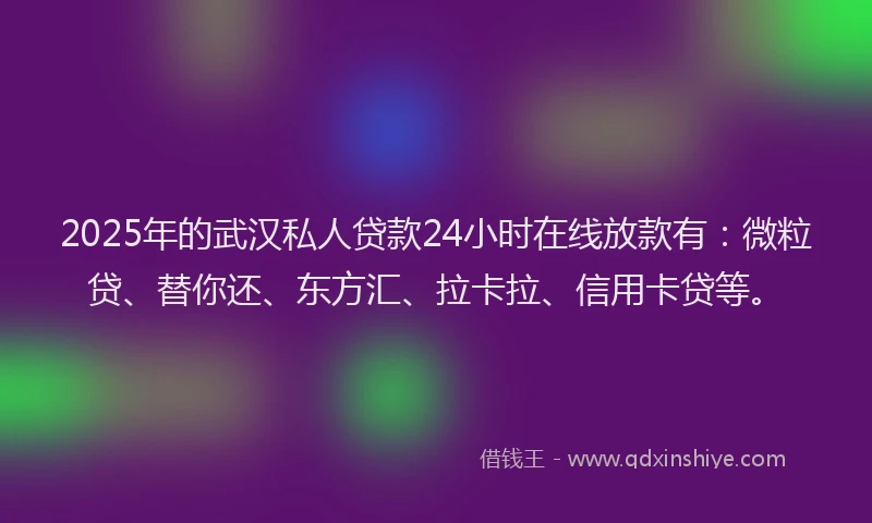 2025年的武汉私人贷款24小时在线放款有：微粒贷、替你还、东方汇、拉卡拉、信用卡贷等。