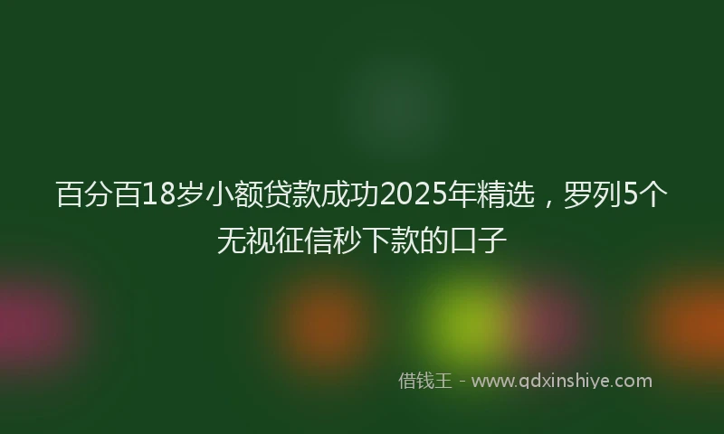 百分百18岁小额贷款成功2025年精选，罗列5个无视征信秒下款的口子