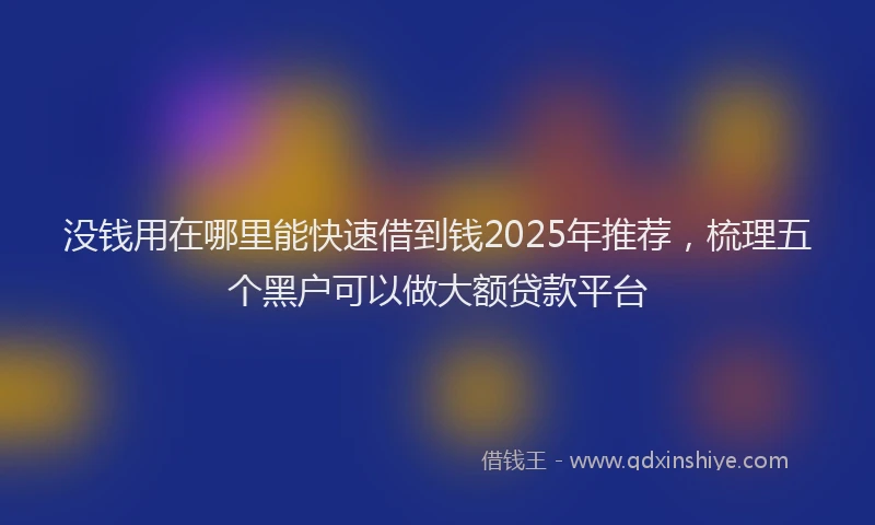 没钱用在哪里能快速借到钱2025年推荐，梳理五个黑户可以做大额贷款平台