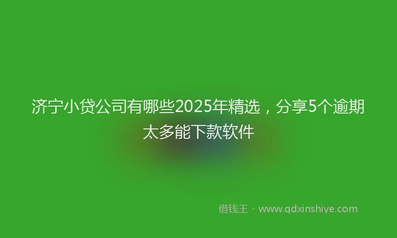 济宁小贷公司有哪些2025年精选，分享5个逾期太多能下款软件