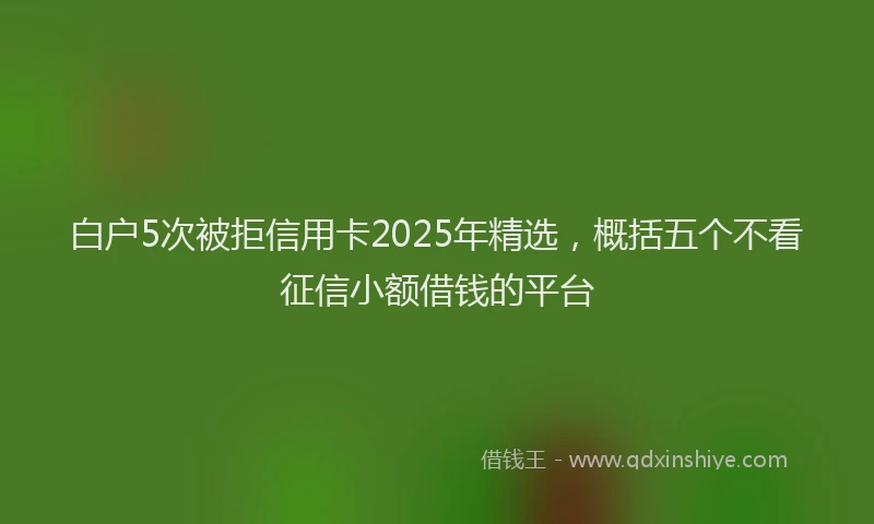 白户5次被拒信用卡2025年精选，概括五个不看征信小额借钱的平台
