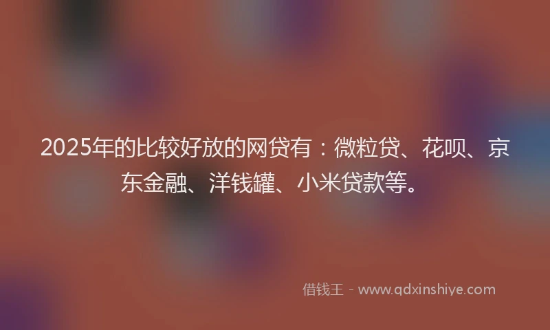 2025年的比较好放的网贷有：微粒贷、花呗、京东金融、洋钱罐、小米贷款等。