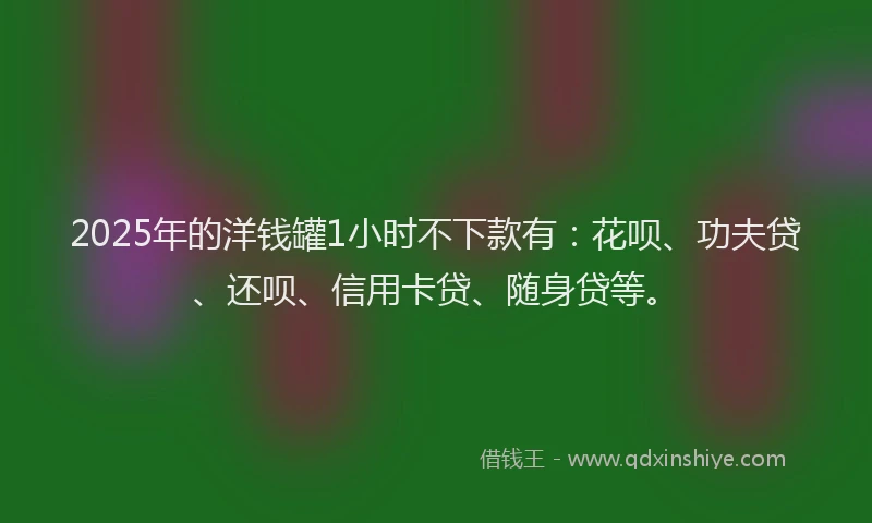 2025年的洋钱罐1小时不下款有：花呗、功夫贷、还呗、信用卡贷、随身贷等。