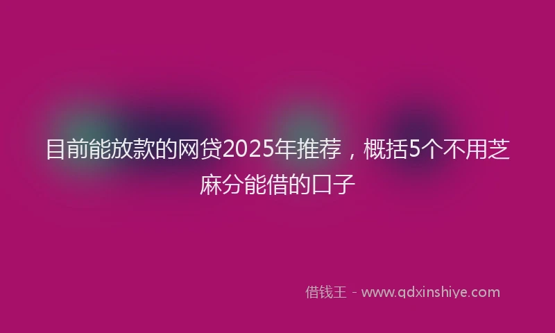 目前能放款的网贷2025年推荐，概括5个不用芝麻分能借的口子