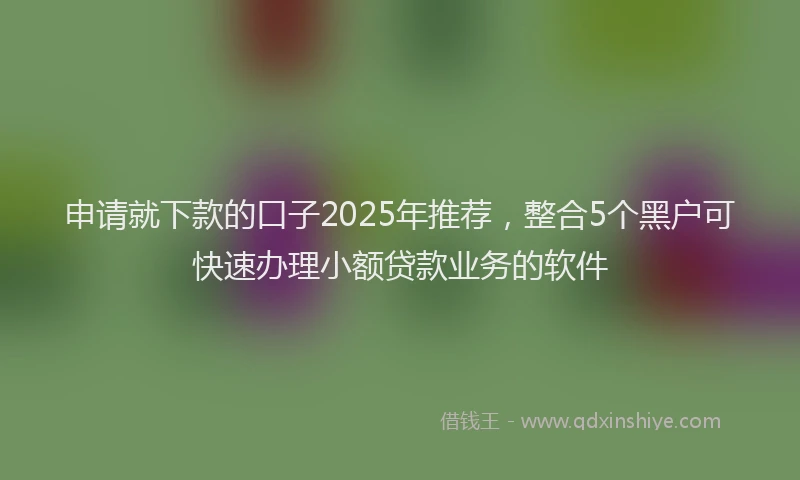 申请就下款的口子2025年推荐，整合5个黑户可快速办理小额贷款业务的软件