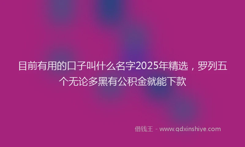目前有用的口子叫什么名字2025年精选，罗列五个无论多黑有公积金就能下款