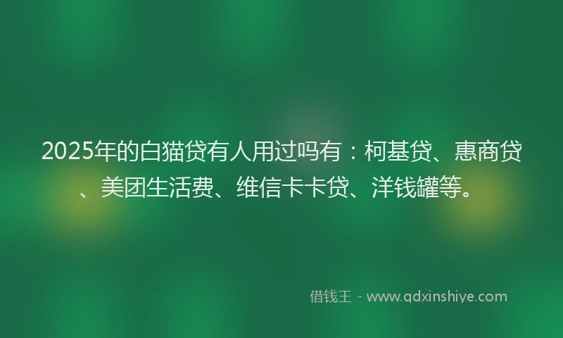 2025年的白猫贷有人用过吗有：柯基贷、惠商贷、美团生活费、维信卡卡贷、洋钱罐等。