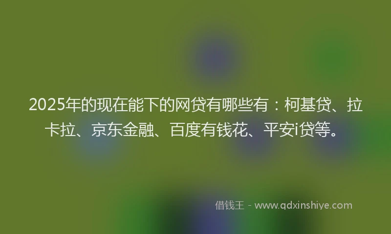 2025年的现在能下的网贷有哪些有：柯基贷、拉卡拉、京东金融、百度有钱花、平安i贷等。
