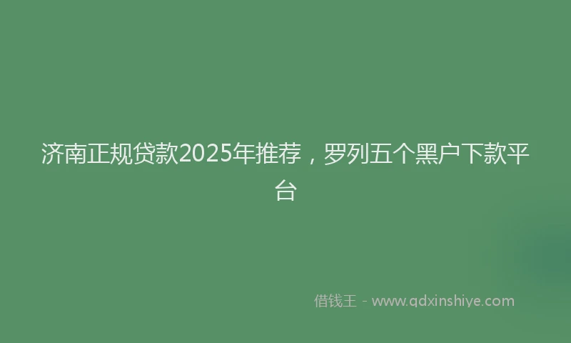 济南正规贷款2025年推荐，罗列五个黑户下款平台