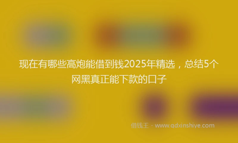 现在有哪些高炮能借到钱2025年精选，总结5个网黑真正能下款的口子
