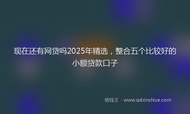 现在还有网贷吗2025年精选，整合五个比较好的小额贷款口子