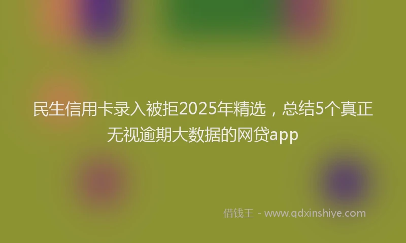 民生信用卡录入被拒2025年精选，总结5个真正无视逾期大数据的网贷app