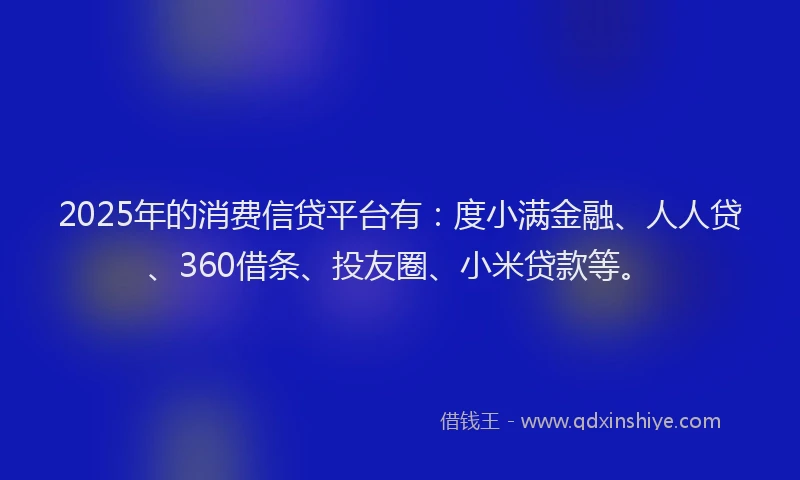 2025年的消费信贷平台有：度小满金融、人人贷、360借条、投友圈、小米贷款等。