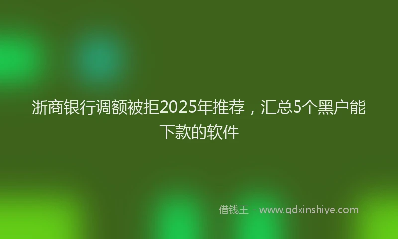 浙商银行调额被拒2025年推荐，汇总5个黑户能下款的软件