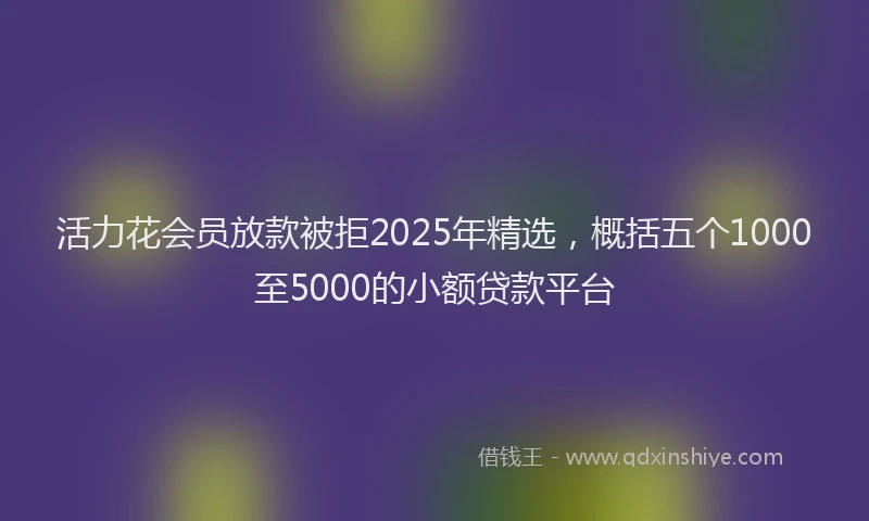 活力花会员放款被拒2025年精选，概括五个1000至5000的小额贷款平台