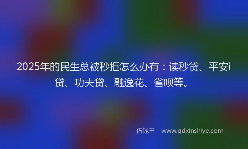 2025年的民生总被秒拒怎么办有：读秒贷、平安i贷、功夫贷、融逸花、省呗等。