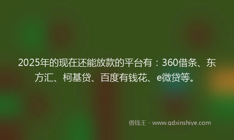 2025年的现在还能放款的平台有：360借条、东方汇、柯基贷、百度有钱花、e微贷等。