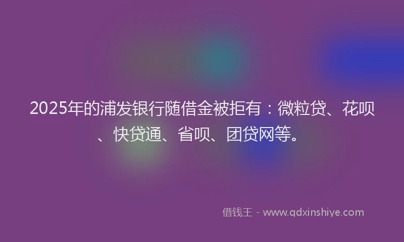 2025年的浦发银行随借金被拒有：微粒贷、花呗、快贷通、省呗、团贷网等。