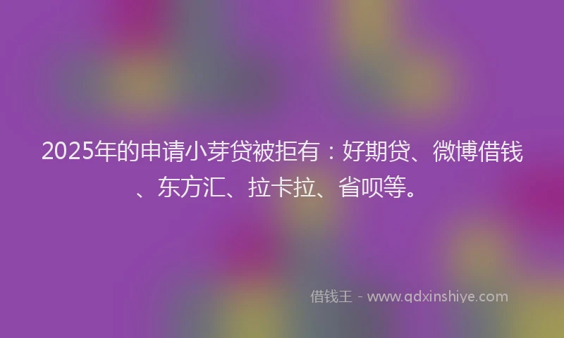 2025年的申请小芽贷被拒有：好期贷、微博借钱、东方汇、拉卡拉、省呗等。