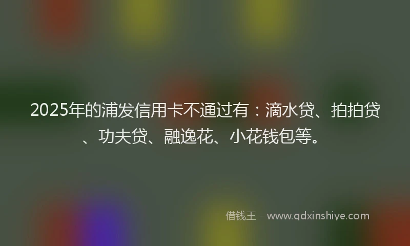 2025年的浦发信用卡不通过有：滴水贷、拍拍贷、功夫贷、融逸花、小花钱包等。