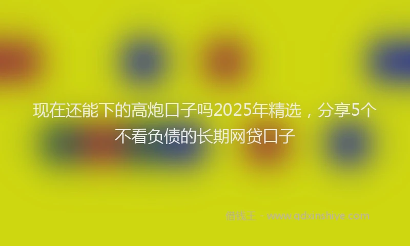 现在还能下的高炮口子吗2025年精选，分享5个不看负债的长期网贷口子