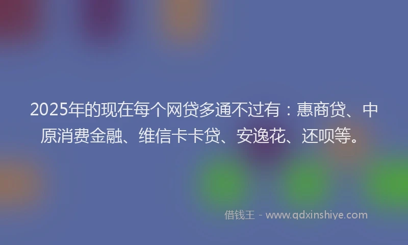 2025年的现在每个网贷多通不过有：惠商贷、中原消费金融、维信卡卡贷、安逸花、还呗等。