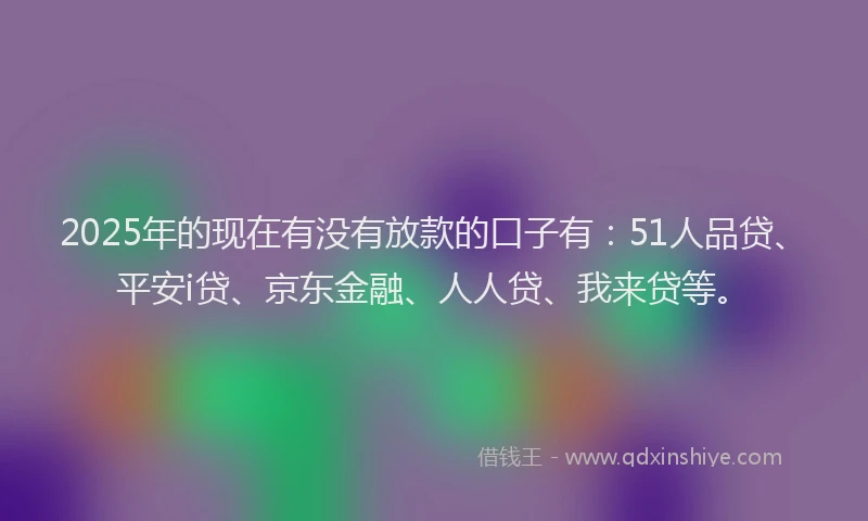 2025年的现在有没有放款的口子有：51人品贷、平安i贷、京东金融、人人贷、我来贷等。