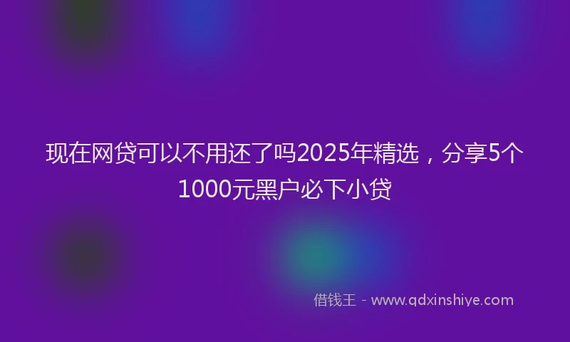 现在网贷可以不用还了吗2025年精选，分享5个1000元黑户必下小贷