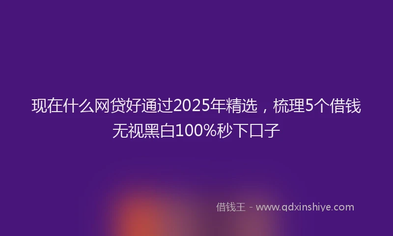 现在什么网贷好通过2025年精选，梳理5个借钱无视黑白100%秒下口子