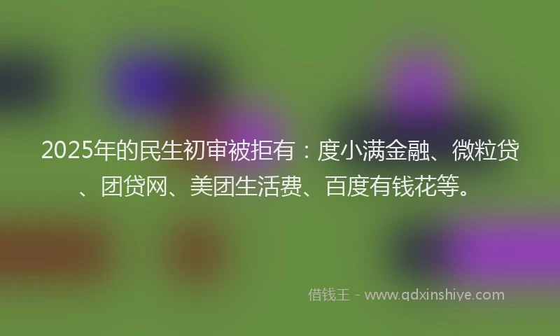 2025年的民生初审被拒有：度小满金融、微粒贷、团贷网、美团生活费、百度有钱花等。