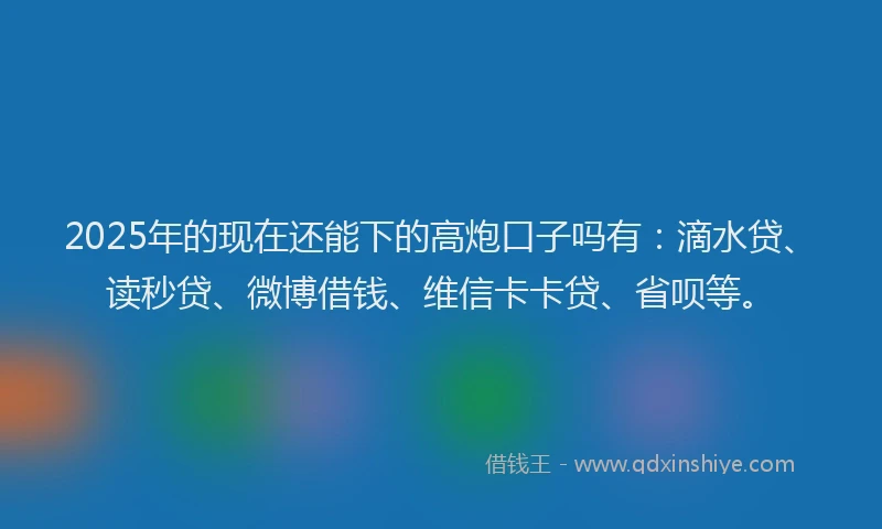 2025年的现在还能下的高炮口子吗有：滴水贷、读秒贷、微博借钱、维信卡卡贷、省呗等。