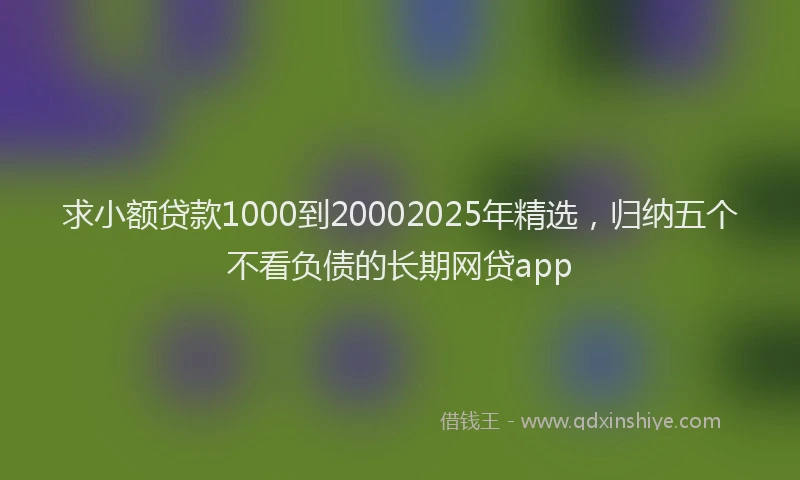 求小额贷款1000到20002025年精选，归纳五个不看负债的长期网贷app