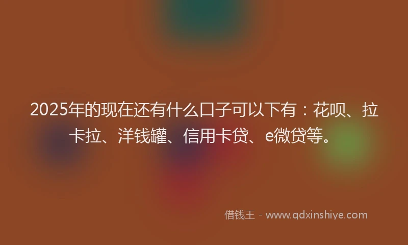 2025年的现在还有什么口子可以下有：花呗、拉卡拉、洋钱罐、信用卡贷、e微贷等。