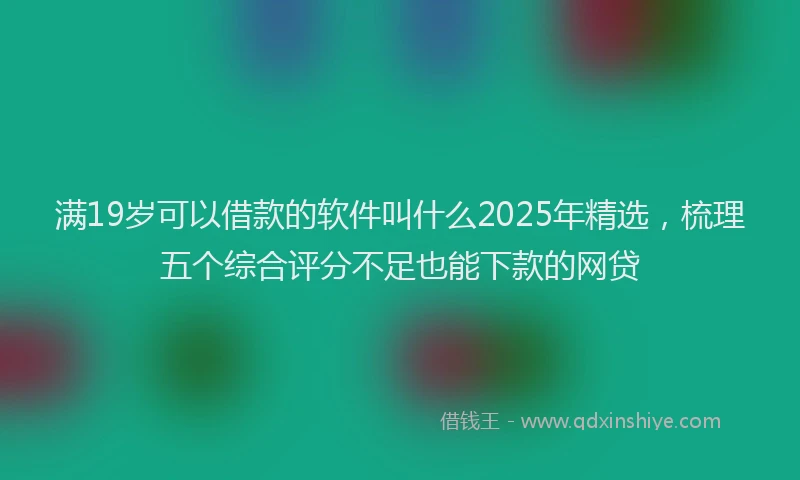 满19岁可以借款的软件叫什么2025年精选，梳理五个综合评分不足也能下款的网贷