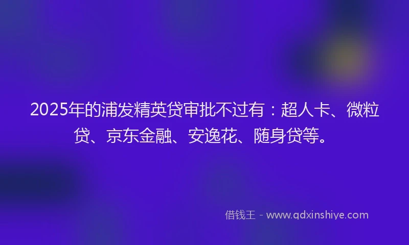 2025年的浦发精英贷审批不过有：超人卡、微粒贷、京东金融、安逸花、随身贷等。